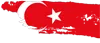 Citizenship By Investment Turkey
